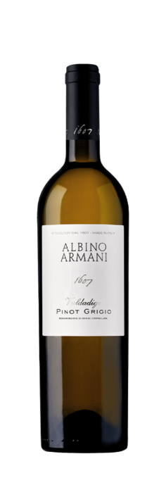 Albino Armani - Pinot Grigio Valdadige