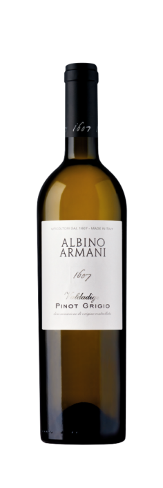 Albino Armani - Pinot Grigio Valdadige
